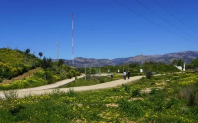 IC Serveis inicia el mantenimiento del Parque de Ocio de Can Canut en Marratxí